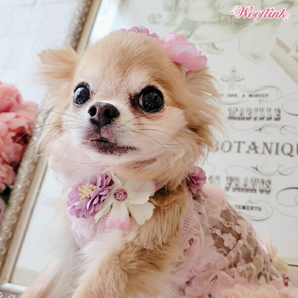ウーフリンクWOOFLINKWHEREFLOWERSBLOOM