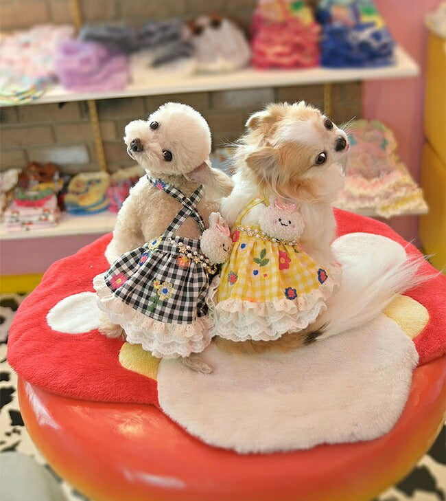 J&Kアニマルズ J&K animals レインボー ワンピース(袖あり）SS/SS-L