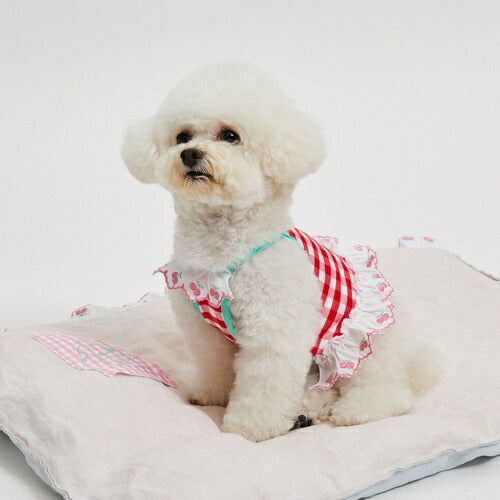 ルイスドッグlouisdogPoolClub/CherryMint
