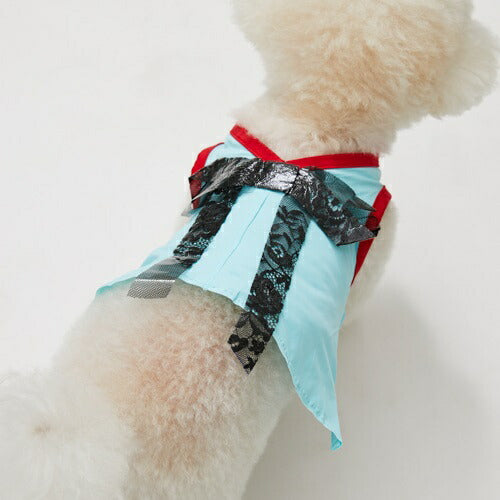 ルイスドッグlouisdogPoolClub/VNeckTaffy