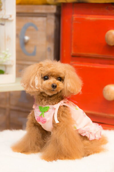 ブルブブ BUL BU-BU COOL Cherry Camisole【小型犬 犬服 キャミソール