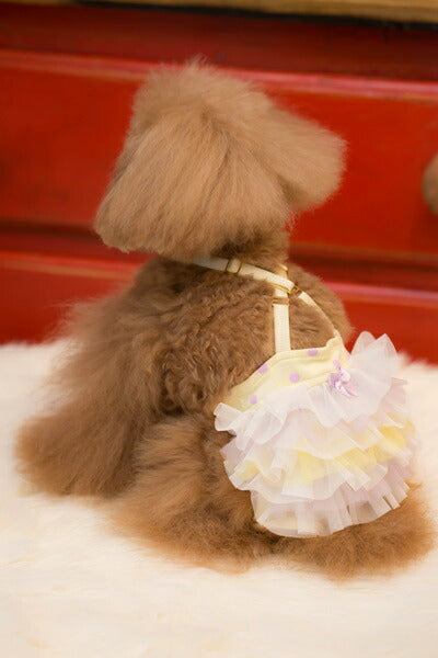 ブルブブ BUL BU-BU マナーブルマ【小型犬 犬服 マナーベルト ブルマ