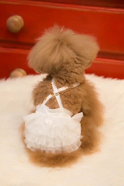 ブルブブ BUL BU-BU マナーブルマ【小型犬 犬服 マナーベルト ブルマ