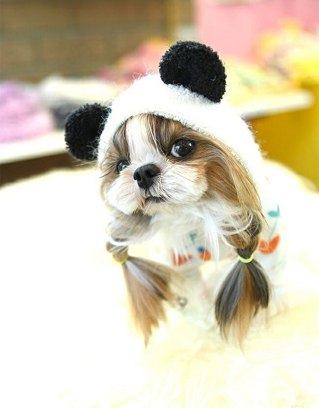 J&K animals ぱんだ 犬用品 J&K animals ぱんだ