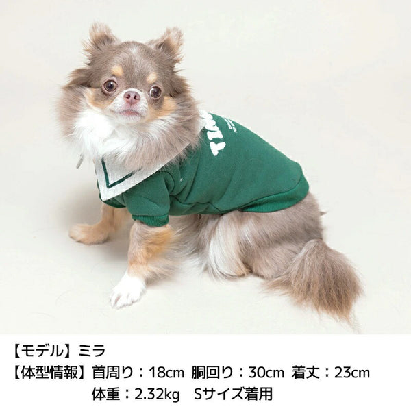ティノティートTINOTITOプレッピートレーナー【小型犬犬服トップスパーカースウェット】