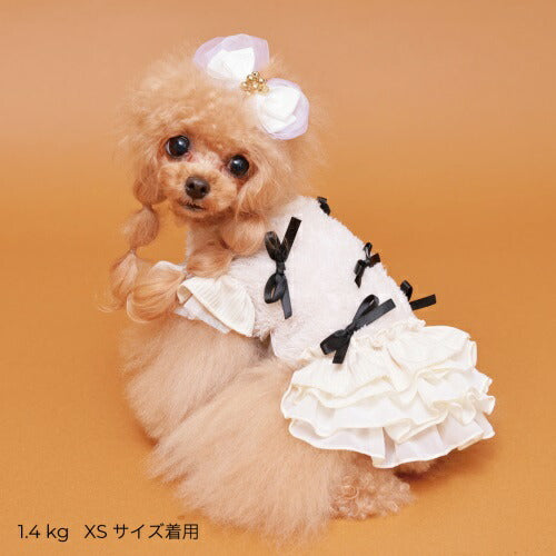 ゴッドピヴァ GODPIVA あったかテラボアRIBONワンピース【小型犬 犬服 ワンピース ドレス セレブ】