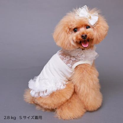 ゴッドピヴァ GODPIVA ブライトレースタンク【小型犬 犬服 トップス タンクトップ セレブ】