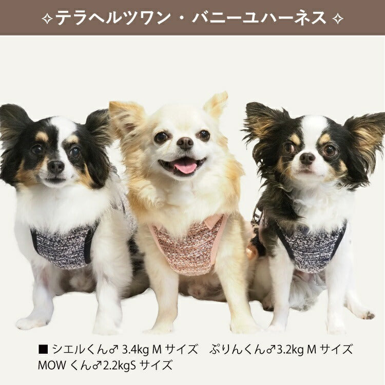 クークチュール Coo Couture テラヘルツワン・バニーユハーネス［7312］【犬用 ハーネス 犬胴輪】