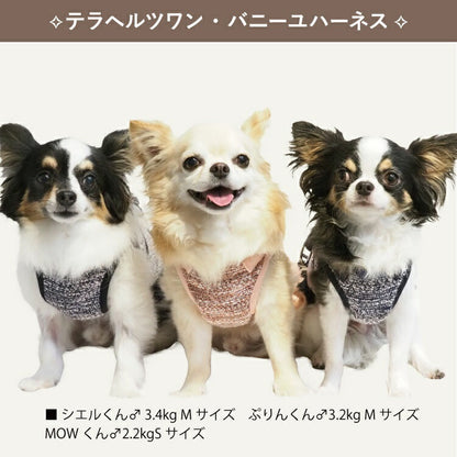クークチュール Coo Couture テラヘルツワン・バニーユハーネス［7312］【犬用 ハーネス 犬胴輪】
