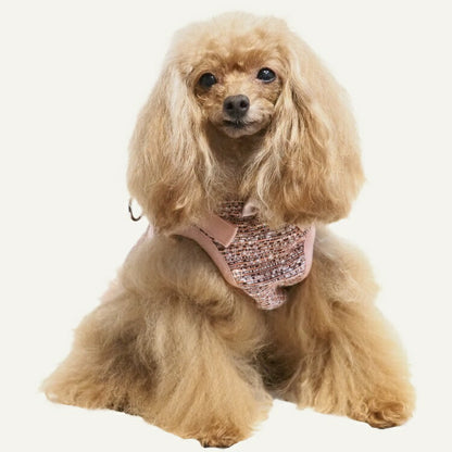 クークチュール Coo Couture テラヘルツワン・バニーユハーネス［7312］【犬用 ハーネス 犬胴輪】