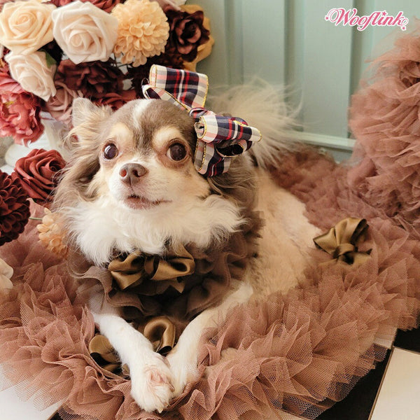 ウーフリンクWOOFLINKHI,FALLHAIRBOW【小型犬犬用アクセサリーヘアセレブ】