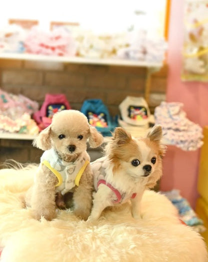 J&Kアニマルズ J&K animals ☆予約受付中☆あひる先生ブルゾン【小型犬 犬服 アウター ブルゾン ジャケット】