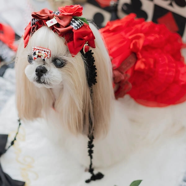 きゃんナナ CanNana アリス ラインストーンコームパッチン AC-036【小型犬 アクセサリー コーム パッチン留め ヘアーアクセサリー】