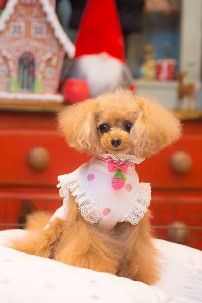 ブルブブ BUL BU-BU いちごボレロ【小型犬 犬服 ウエア トップス ボレロ セレブ】