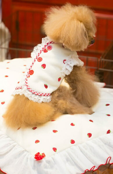 ブルブブ BUL BU-BU いちごボレロ【小型犬 犬服 ウエア トップス ボレロ セレブ】