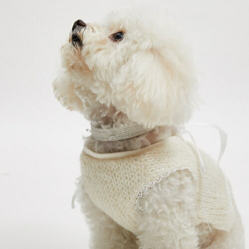 ルイスドッグ louisdog Twinkle Collar【小型犬 犬用 カラー 首輪 セレブ】