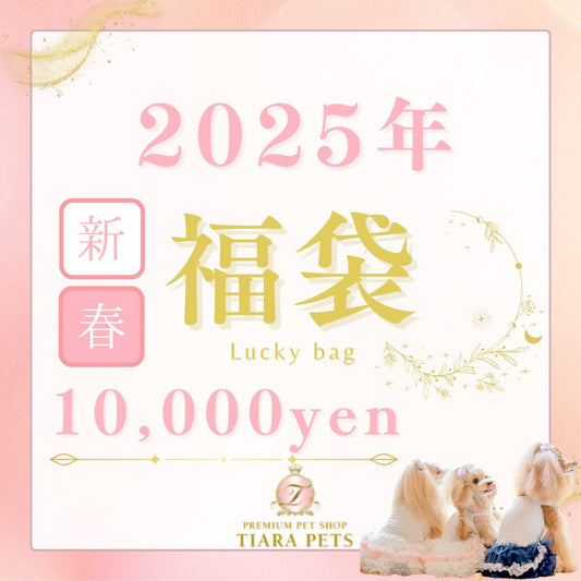 2025 新春福袋 1万円【小型犬 犬用 ウエア グッズ 福袋】