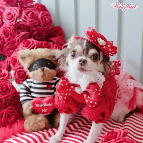 ウーフリンク WOOFLINK SOMEONE SPECIAL FASCINATOR HAT【小型犬 犬用 帽子 ハット セレブ】