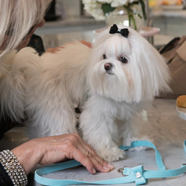 スーザンランシー  Susan Lanci DESIGNS Giltmore Hair Bow 受注生産【小型犬 犬用 ヘアアクセサリー バレッタ セレブ】
