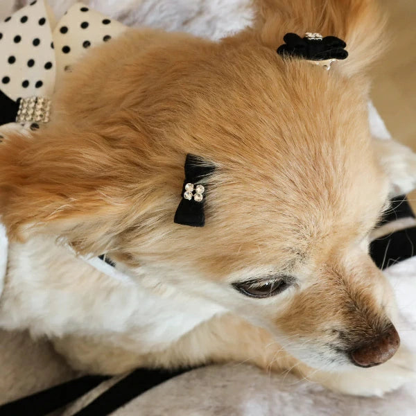 スーザンランシー  Susan Lanci DESIGNS Giltmore Hair Bow 受注生産【小型犬 犬用 ヘアアクセサリー バレッタ セレブ】