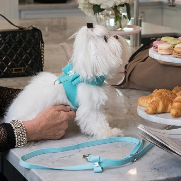 スーザンランシー Susan Lanci DESIGNS Big Bow Tinkie Harness 受注生産【小型犬 犬用 ハーネス セレブ】