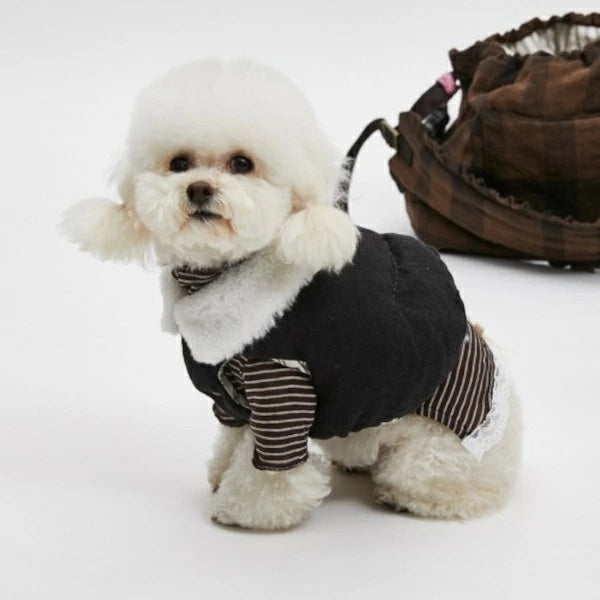 ルイスドッグ louisdog Black Beauty Linen Padded Jacket【小型犬 犬服 アウター ジャケット セレブ 】