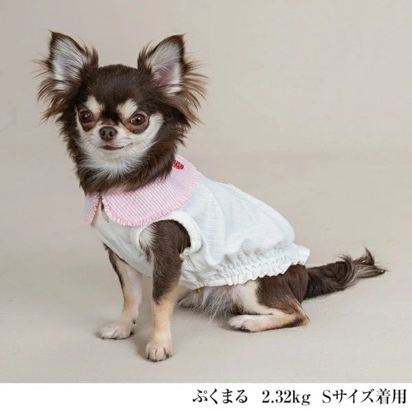 クレイジーブー CRAZYBOO 丸襟シャーリングタンク【犬服 小型犬 ウエア トップス タンクトップ セレブ】