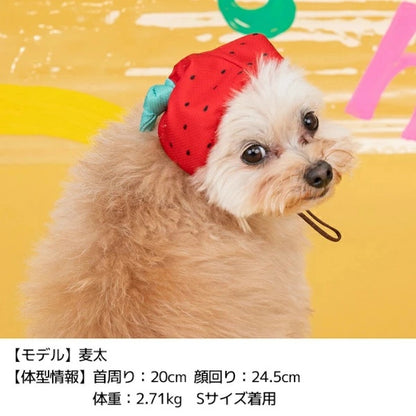 ディーズチャット D's CHAT フルーツ柄クーリング帽子【犬服 小型犬 大型犬 ドッグウェア 帽子】