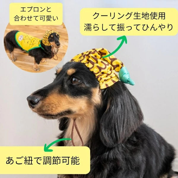 ディーズチャット D's CHAT フルーツ柄クーリング帽子【犬服 小型犬 大型犬 ドッグウェア 帽子】