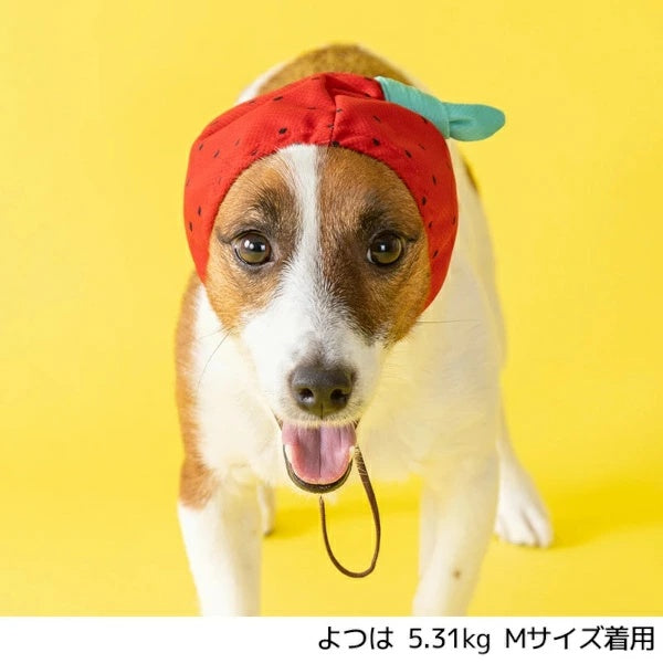 ディーズチャット D's CHAT フルーツ柄クーリング帽子【犬服 小型犬 大型犬 ドッグウェア 帽子】