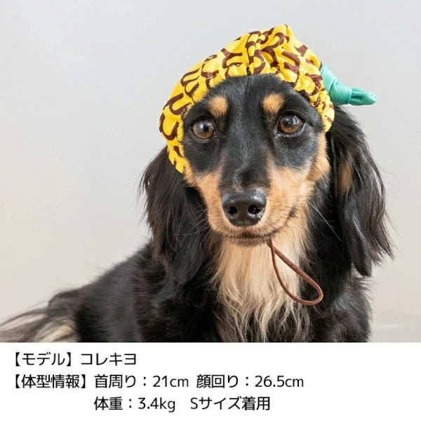 ディーズチャット D's CHAT フルーツ柄クーリング帽子【犬服 小型犬 大型犬 ドッグウェア 帽子】
