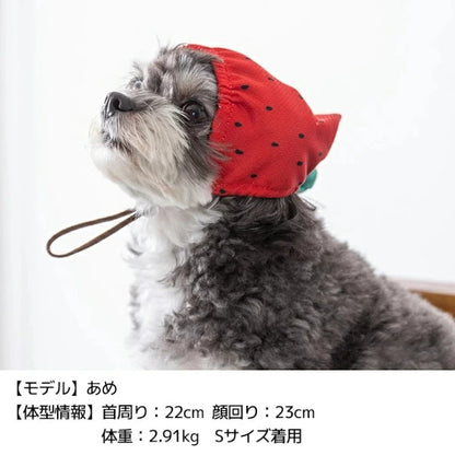 ディーズチャット D's CHAT フルーツ柄クーリング帽子【犬服 小型犬 大型犬 ドッグウェア 帽子】
