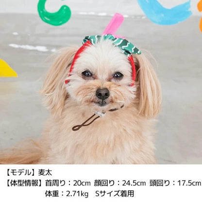 ディーズチャット D's CHAT フルーツ柄クーリングバンド【犬服 小型犬 ドッグウェア ヘアバンド】