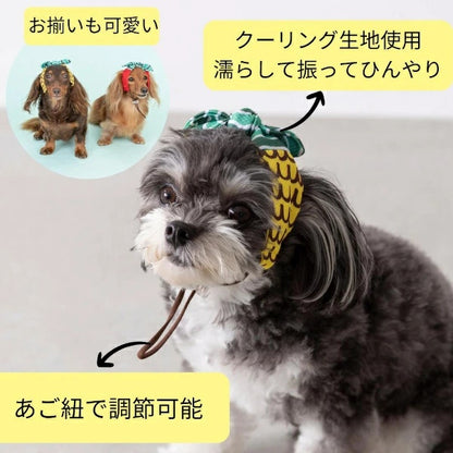 ディーズチャット D's CHAT フルーツ柄クーリングバンド【犬服 小型犬 ドッグウェア ヘアバンド】
