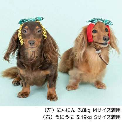 ディーズチャット D's CHAT フルーツ柄クーリングバンド【犬服 小型犬 ドッグウェア ヘアバンド】
