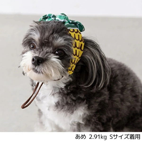 ディーズチャット D's CHAT フルーツ柄クーリングバンド【犬服 小型犬 ドッグウェア ヘアバンド】