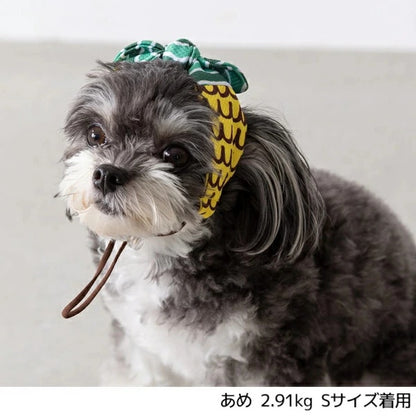 ディーズチャット D's CHAT フルーツ柄クーリングバンド【犬服 小型犬 ドッグウェア ヘアバンド】