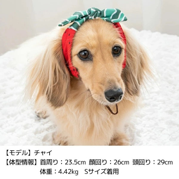 ディーズチャット D's CHAT フルーツ柄クーリングバンド【犬服 小型犬 ドッグウェア ヘアバンド】