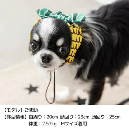 ディーズチャット D's CHAT フルーツ柄クーリングバンド【犬服 小型犬 ドッグウェア ヘアバンド】