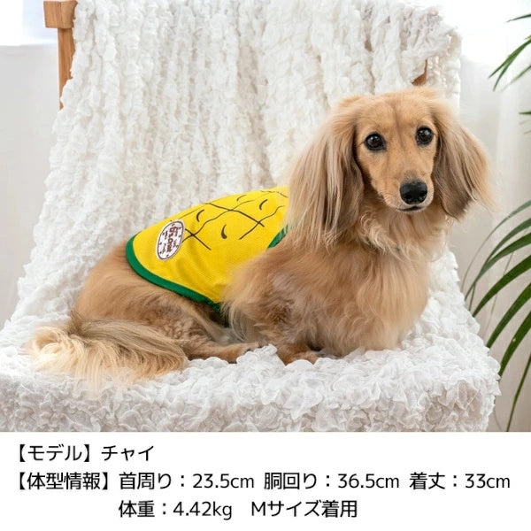 ディーズチャット D's CHAT フルーツ柄クーリングエプロン【犬服 小型犬 ドッグウェア エプロン】