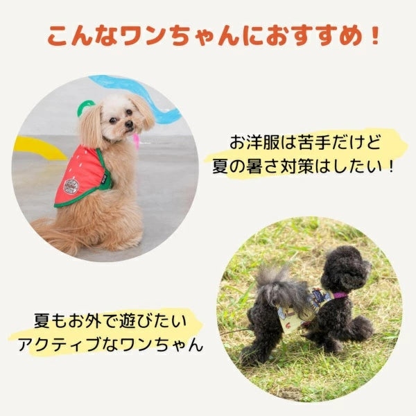 ディーズチャット D's CHAT フルーツ柄クーリングエプロン【犬服 小型犬 ドッグウェア エプロン】