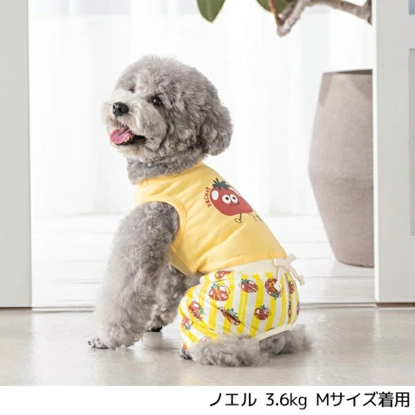 ディーズチャット D's CHAT トマト柄ストライプつなぎ【犬服 小型犬 ドッグウェア つなぎ ロンパース】