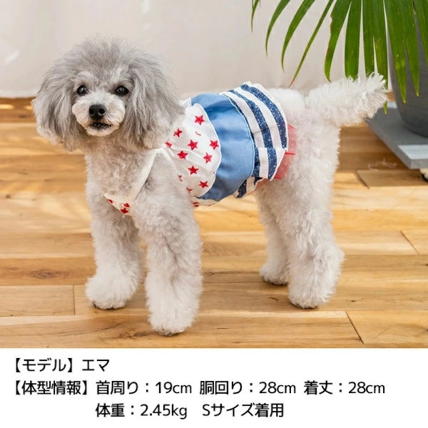 ディーズチャット D's CHAT 星柄キャミワンピ【犬服 小型犬 ドッグウェア ワンピース】