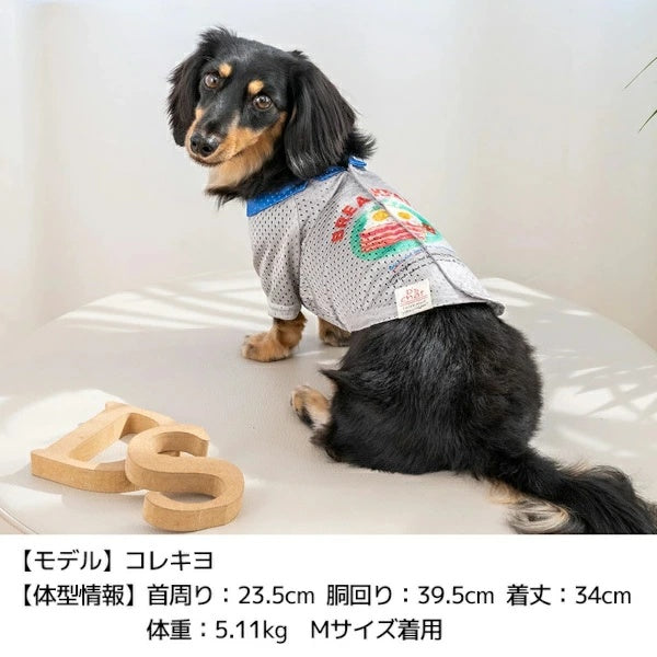 ディーズチャット D's CHAT 背開きメッシュシャツ【犬服 小型犬 ドッグウェア トップス シャツ】