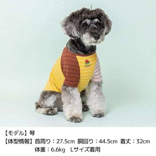 ディーズチャット D's CHAT ディーズ君配色Tシャツ【犬服 小型犬 ドッグウェア トップス Tシャツ】