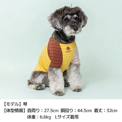 ディーズチャット D's CHAT ディーズ君配色Tシャツ【犬服 小型犬 ドッグウェア トップス Tシャツ】
