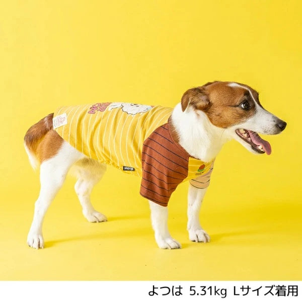 ディーズチャット D's CHAT ディーズ君配色Tシャツ【犬服 小型犬 ドッグウェア トップス Tシャツ】