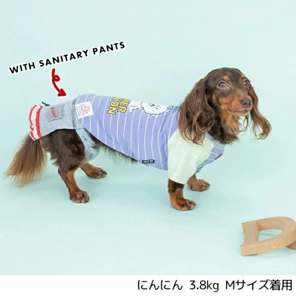 ディーズチャット D's CHAT ディーズ君配色Tシャツ【犬服 小型犬 ドッグウェア トップス Tシャツ】