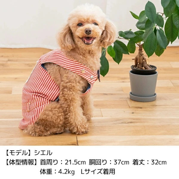 ディーズチャット D's CHAT ストライプバーガータンク【犬服 小型犬 ドッグウェア トップス タンクトップ】