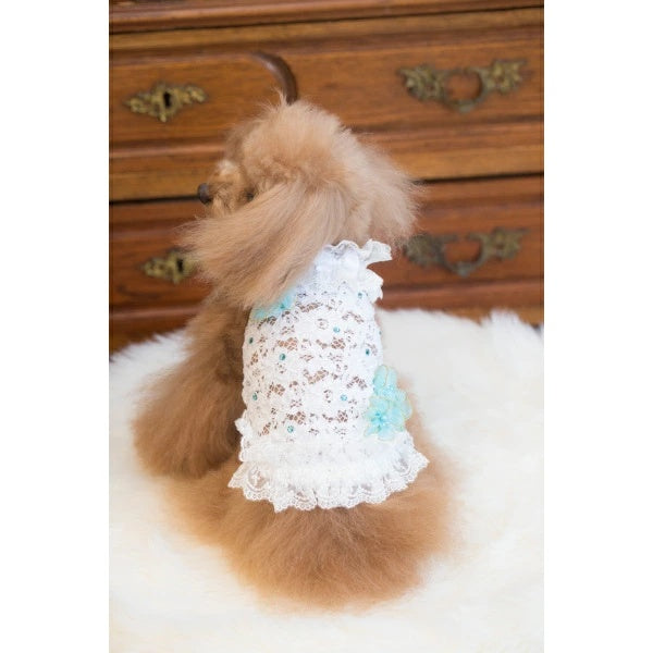 ブルブブ BUL BU-BU レーシーフラワーキャミ【小型犬 犬服 ウエア トップス キャミソール セレブ】
